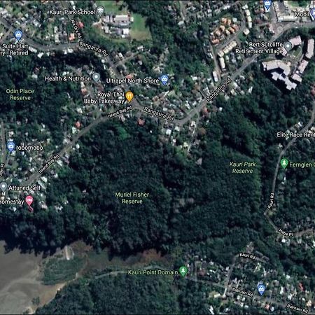 Fernglen B&B Auckland Eksteriør bilde