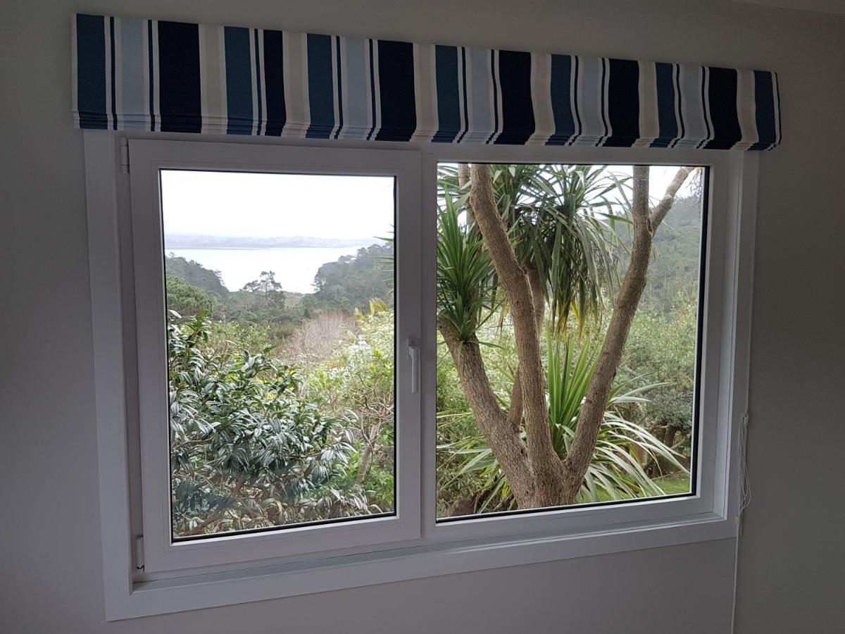 Fernglen B&B Auckland Eksteriør bilde
