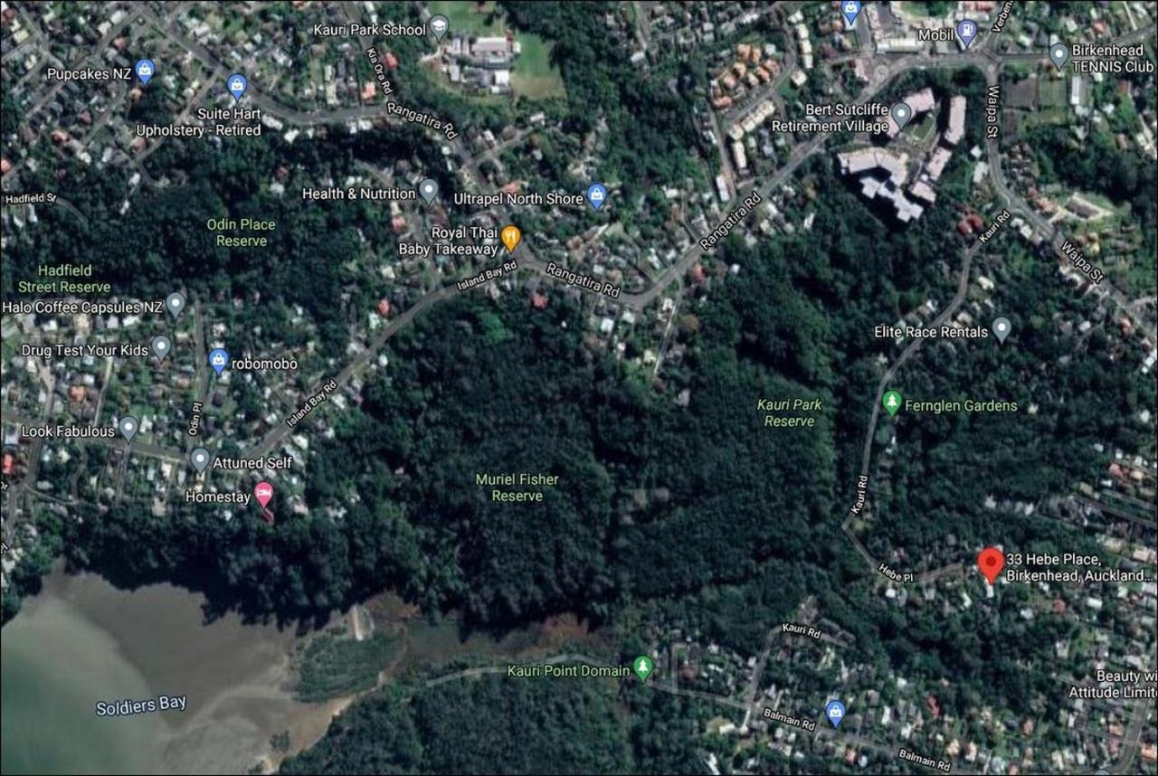 Fernglen B&B Auckland Eksteriør bilde
